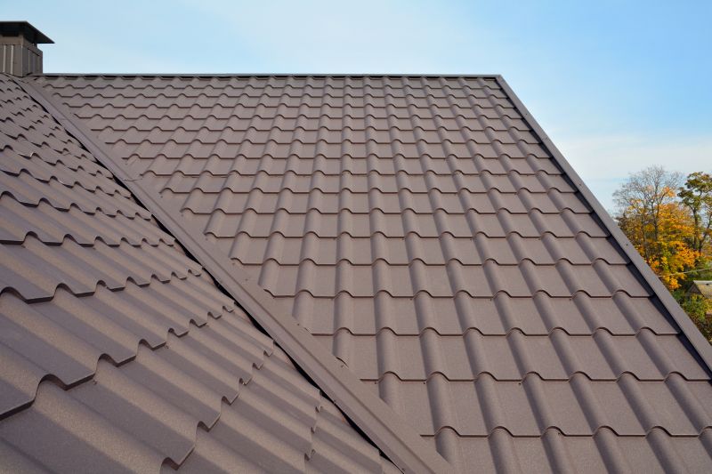 Metal Roof Installation in Alexandria, VA